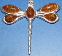 Amber  - Amber Dragonfly. Brooche