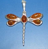 Amber  - Pendants. Dragonfly. Amber