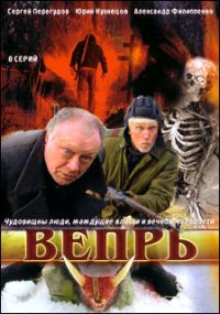 Дмитрий Светозаров - Вепрь (8 серий)