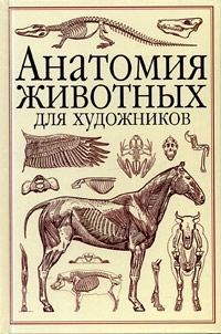 Анатомия животных для художников - Вильгельм Танк 