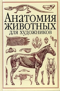 Вильгельм Танк - Анатомия животных для художников